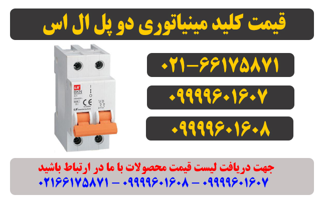 قیمت کلید مینیاتوری دو پل ال اس